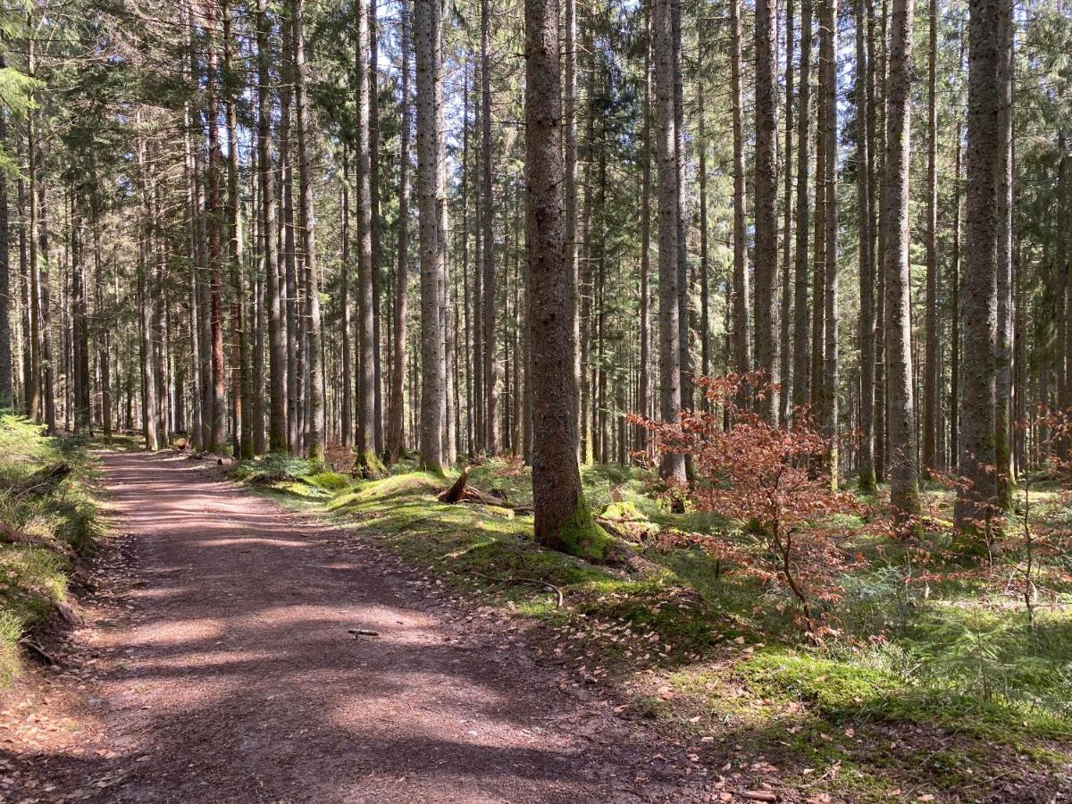 Ferienwohnung Lang - Schoene 3-Zimmer-Wohnung Bonndorf im Schwarzwald Exteriér fotografie